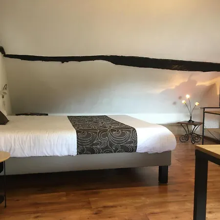 Logis Hotel Oasis 3*